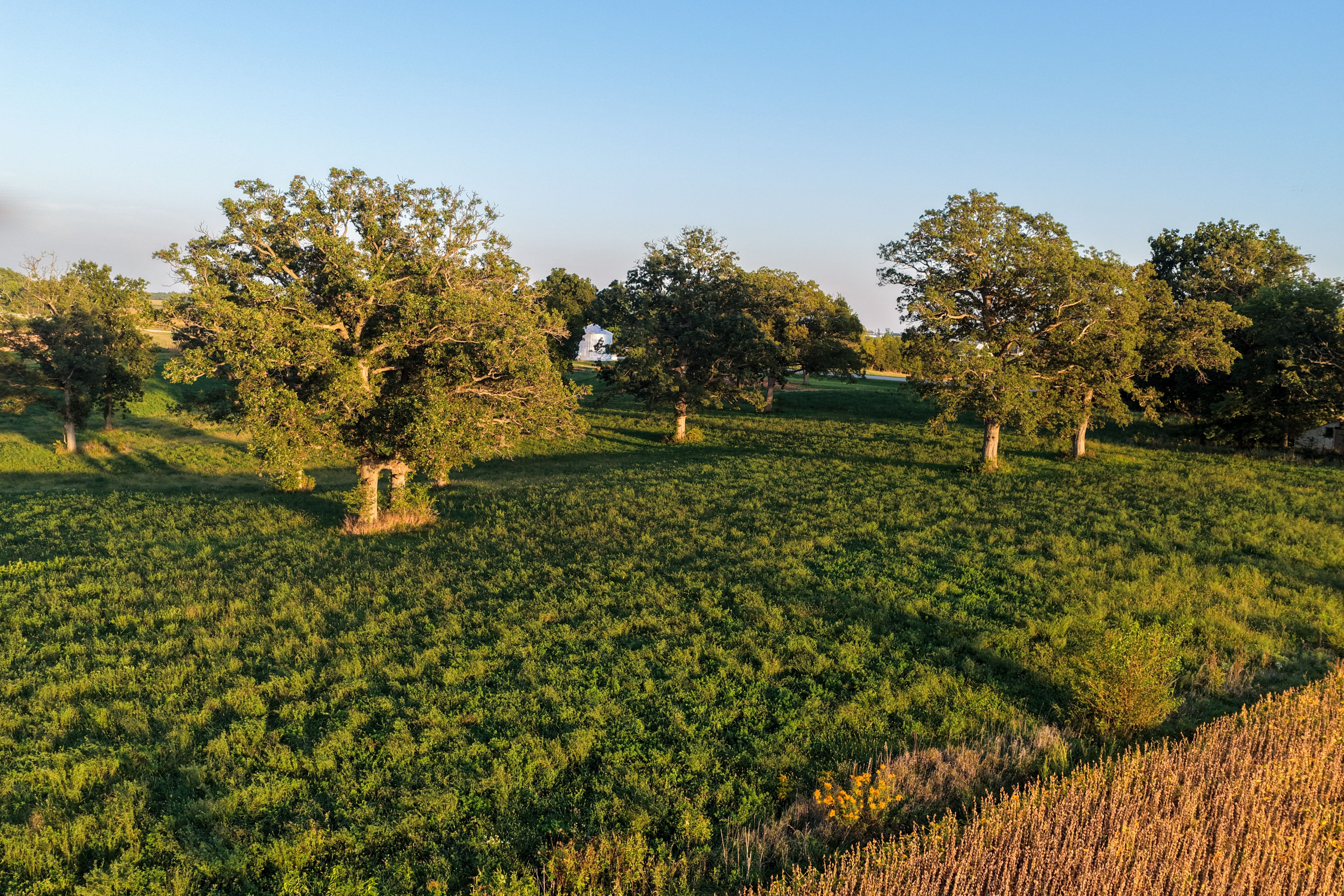 Listing Photo: Johnson County 4 Acre Building Site 77
